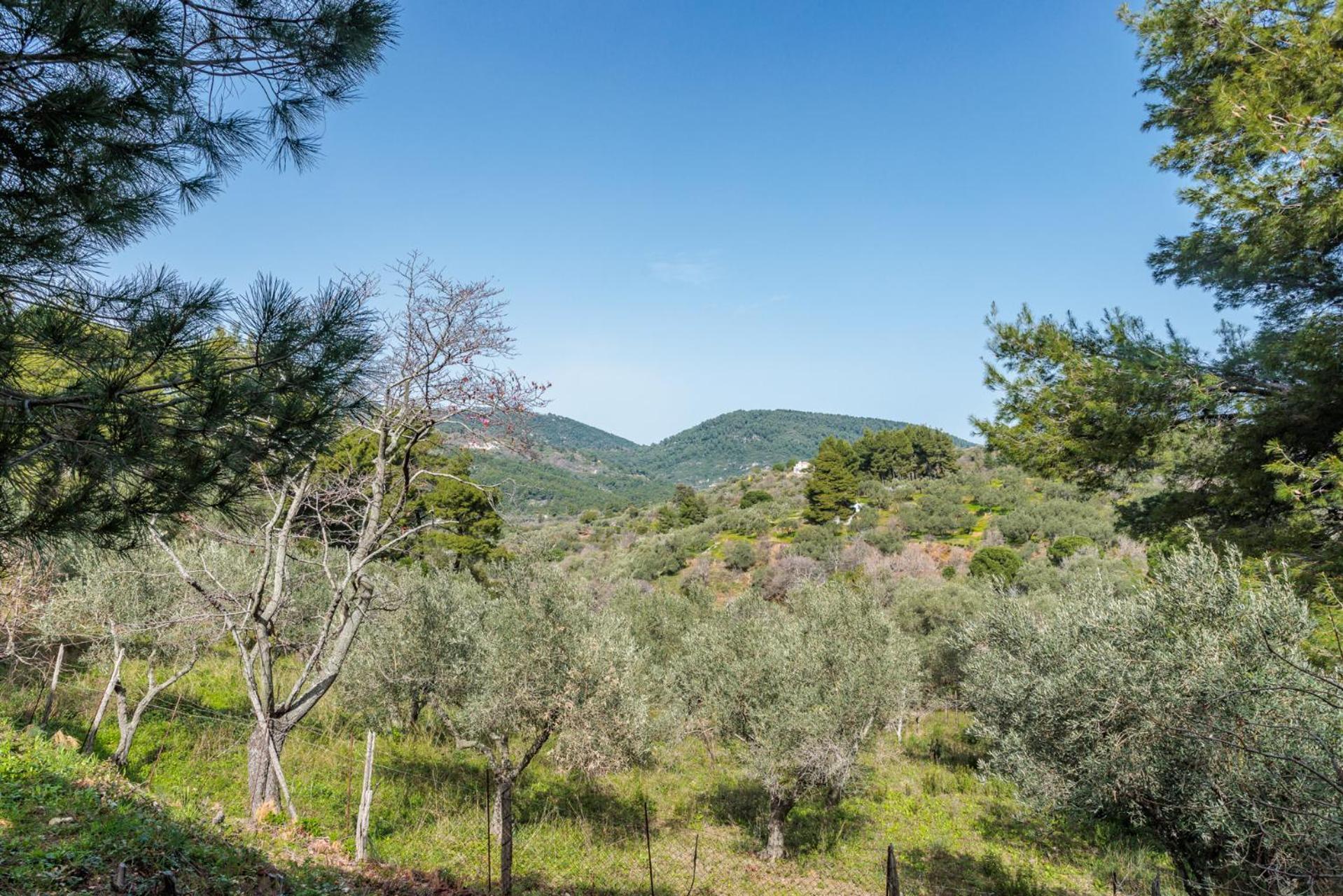Elli Cottage Skopelos Town Exterior photo