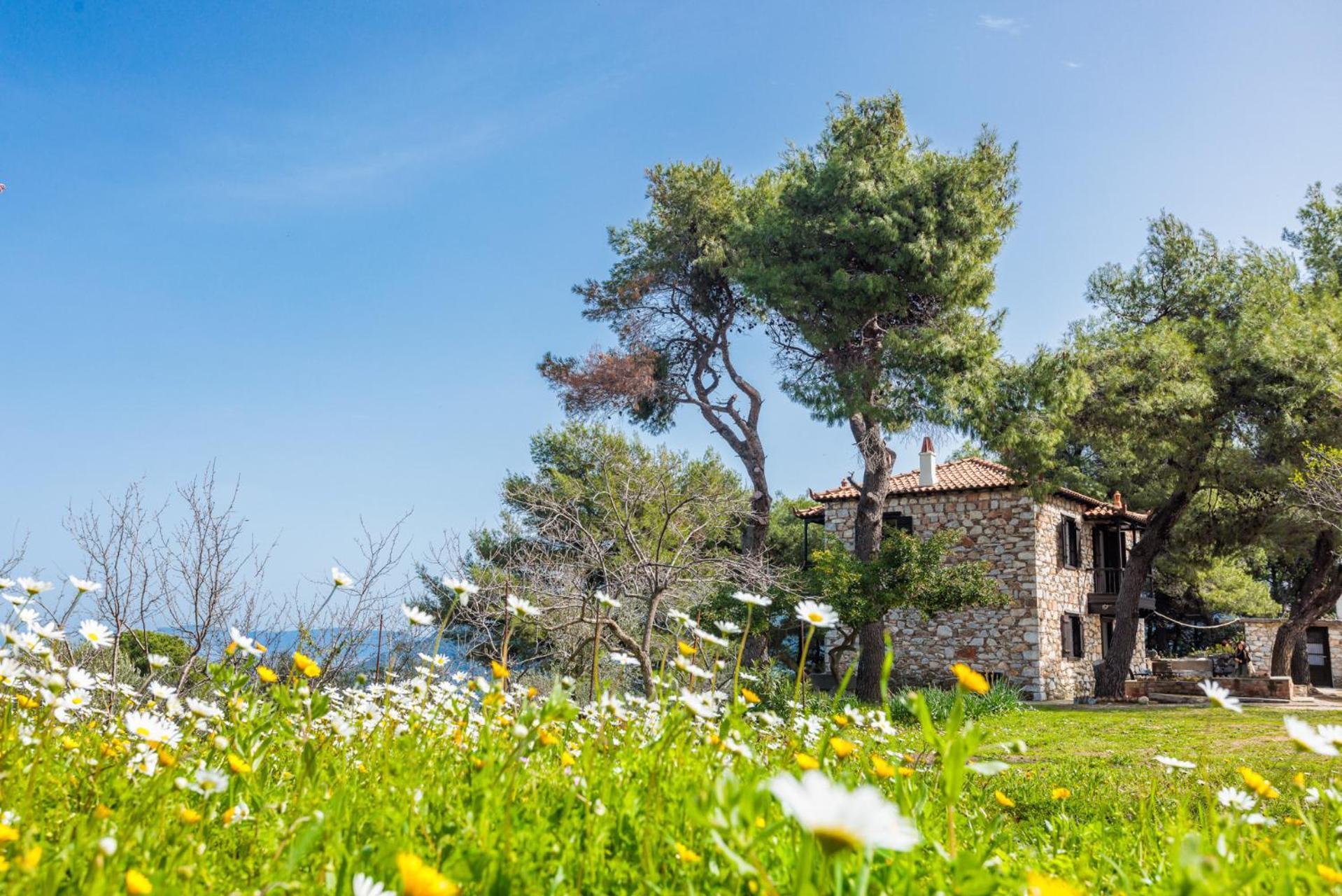 Elli Cottage Skopelos Town Exterior photo