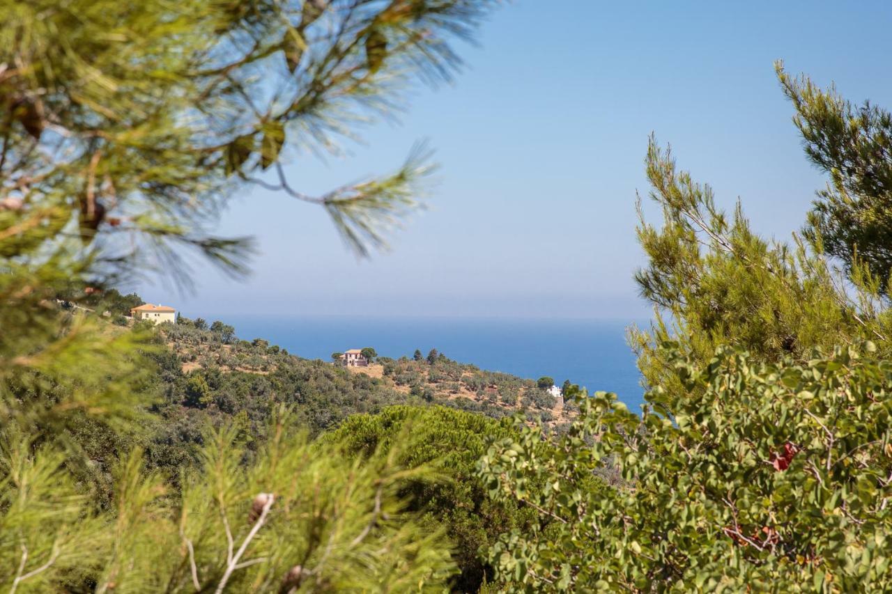 Elli Cottage Skopelos Town Exterior photo
